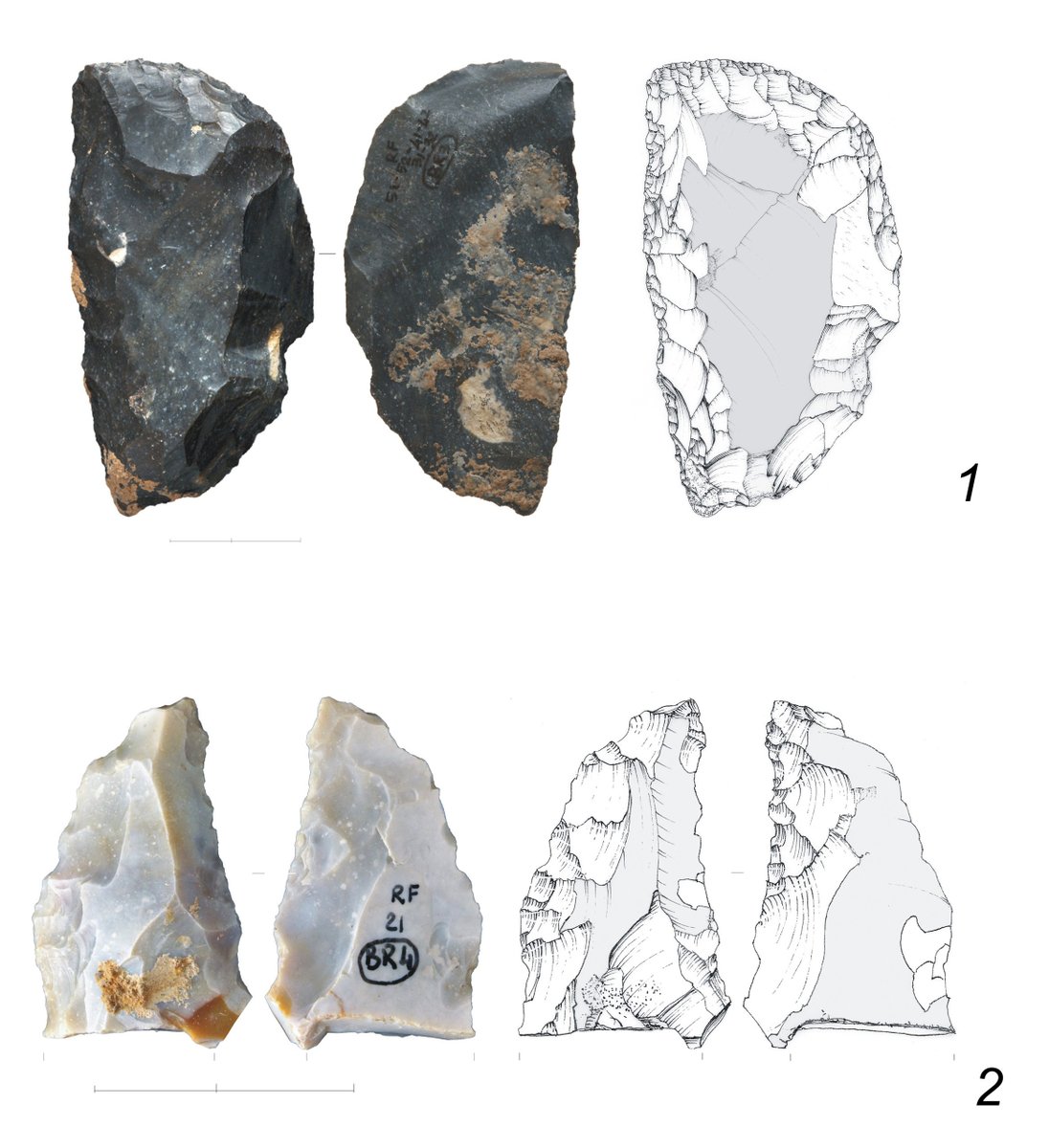 Grotta di Fumane tweet media