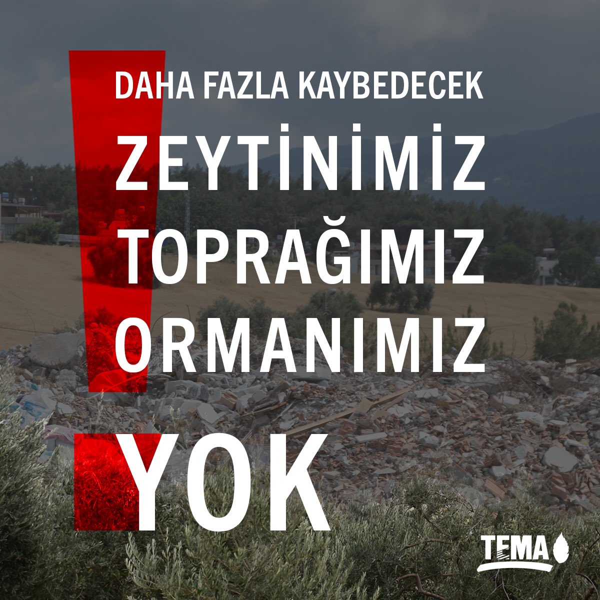 temavakfi's tweet photo. Daha Fazla Kaybedecek Zeytinimiz, Toprağımız, Ormanımız YOK❗

Hatay Dikmece’de kamulaştırılan ve toplu konut yapılması planlanan zeytinliklerle ilgili gelişmelerin takipçisiyiz. Köy halkı, konut inşaası için boş alanların kullanılmasını istiyor, zeytinlikleri korumak için nöbet tutuyor.

📌 15 Temmuz’da Resmi Gazete’de yayımlanan; "deprem nedeniyle yıkılan konutların yerine yapılmak üzere zeytinlik, mera ve orman alanlarının imara açılma kararı" ile beraber yaklaşık 12 bin 500 hektar (17 bin 500 futbol sahası) büyüklüğünde arazi imara açılmıştı.

⚠️ Hatay, Adıyaman ve Kahramanmaraş’ta ağırlıklı olmak üzere tüm deprem bölgesinde yapılması planlanan projeler, hem ekosistemin zarar görmesine hem de halkın geçim kaynaklarını kaybetmesine neden olacak.

📢 TEMA Vakfı olarak depremlerin ülkemizde ve deprem bölgesinde yarattığı yıkımların farkındayız, yaraların bir an önce sarılmasını yürekten diliyoruz.

Konut projelerinin; bölgedeki sosyal, ekonomik ve ekolojik değerleri üstün kamu yararı temelinde değerlendirerek dikkate alan ve bölgedeki tarım alanlarını, meraları, zeytinlikleri, orman alanlarını koruyan mekansal planlar doğrultusunda geliştirilmesini talep ediyoruz.  

#ZeytinliklerYokOlmasın