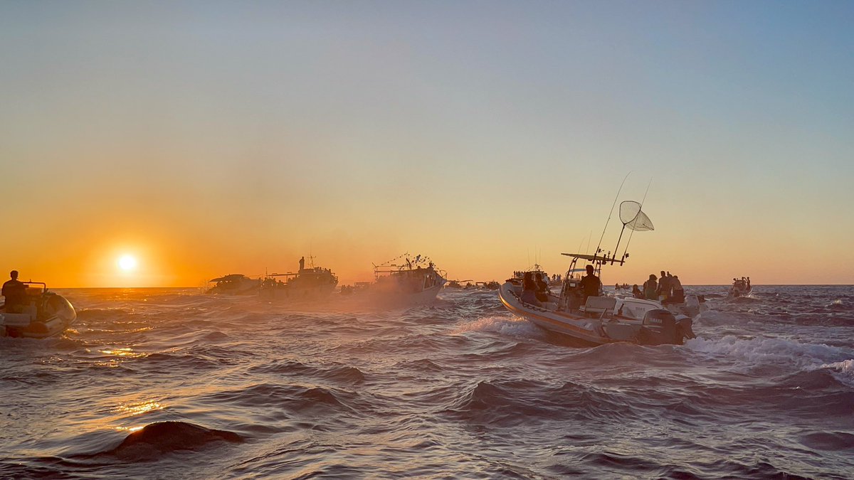 Il profumo del mare di Palmi si mescola con l'eco delle preghiere. 🌊☀️