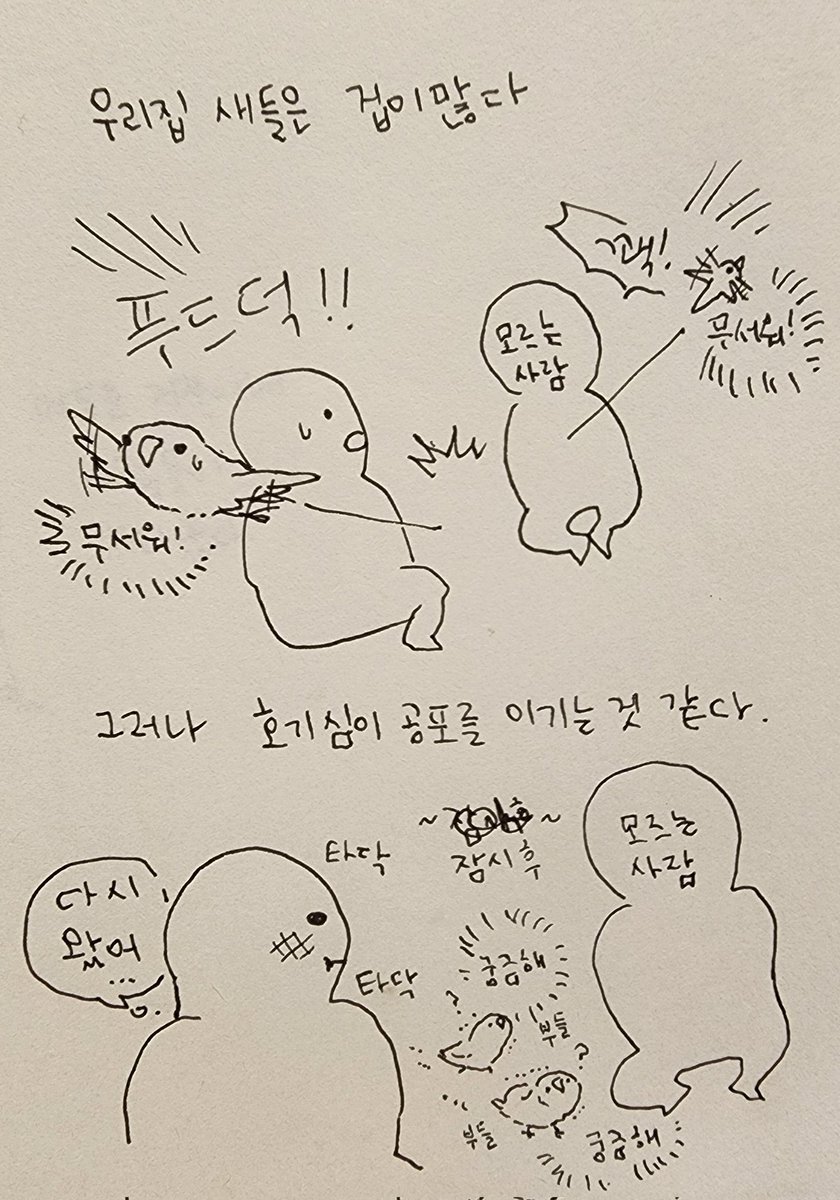 호기심 천국