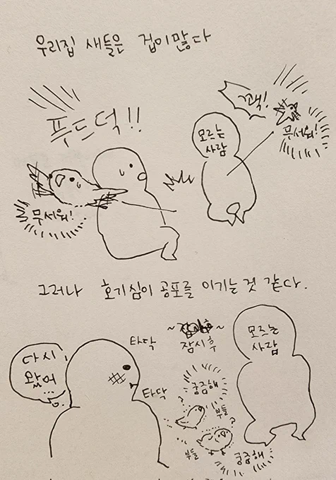 호기심 천국