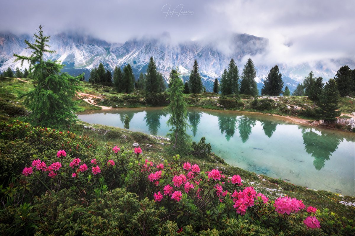jaka_ivancic's tweet photo. As twilight falls, moody mountains and the tranquil lake unite, creating a magical evening spectacle. #dolomiti #dolomites #lak #limides #lakelimides #lagodilimides #limedes #lakelimedes #cortinadampezzo #alps #mountains #moody #clouds #larchtrees #landscape ph @jaka_ivancic https://t.co/GZWfB2VWvC