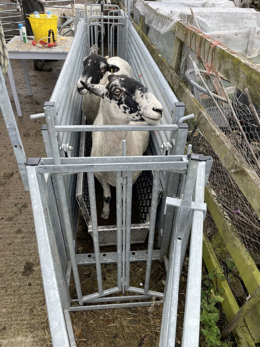 DallowHallBarns tweet media