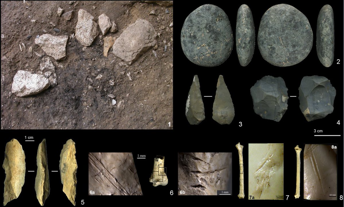 Grotta di Fumane tweet media