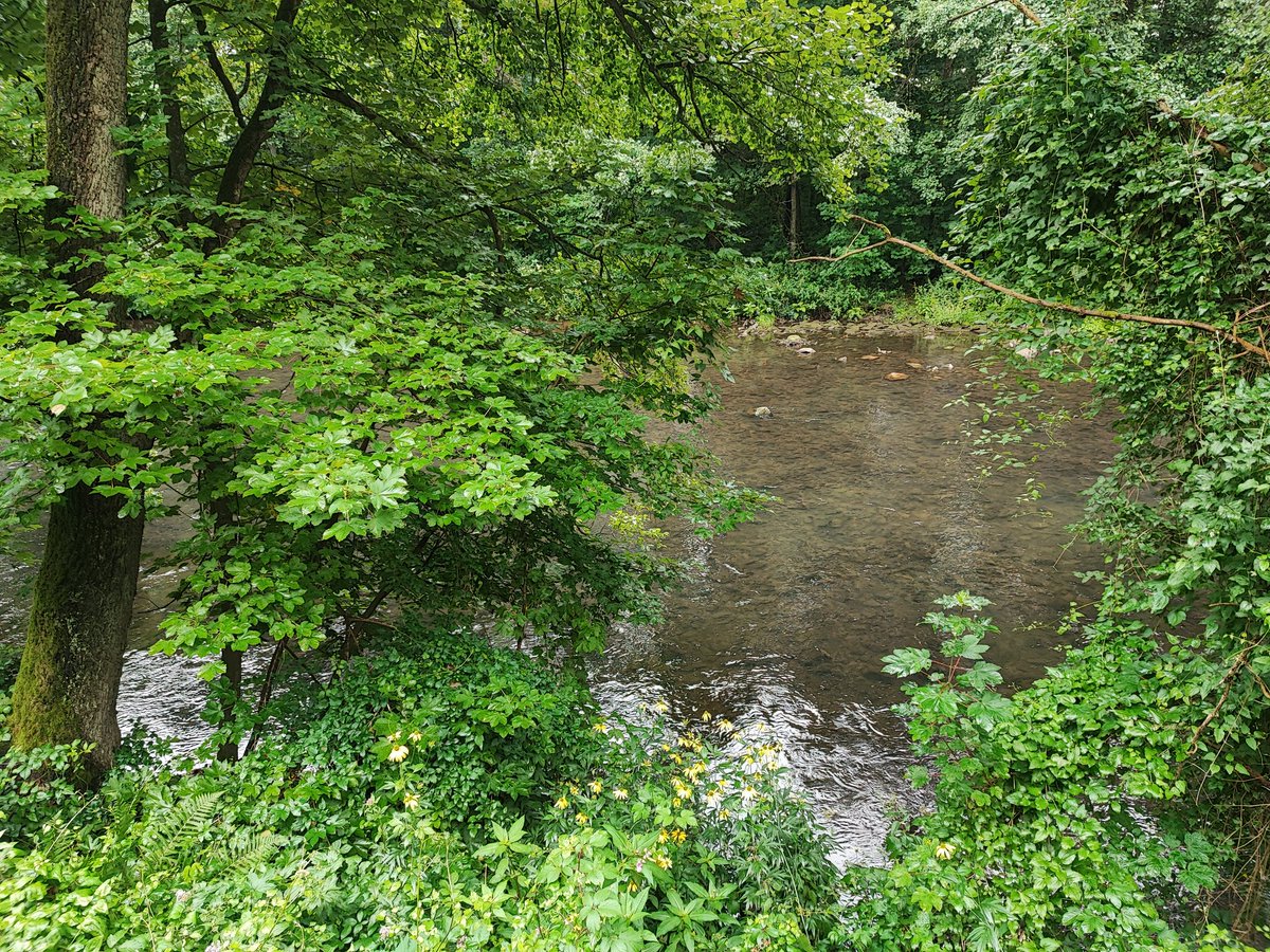 WeareWuppertal's tweet photo. Als ich vor ein paar Tage gewittert habe das ich auf m Weg nach #Wuppertal #Beyenburg in #Kemna immer eine kurze Pause machen beim #KZkemna #Mahnmal um kurz inne zu halten meinte ich das übrigens ernst. Gerade im Zeiten von #FckAFD wichtig für mich. https://t.co/HlDZWcmGJf