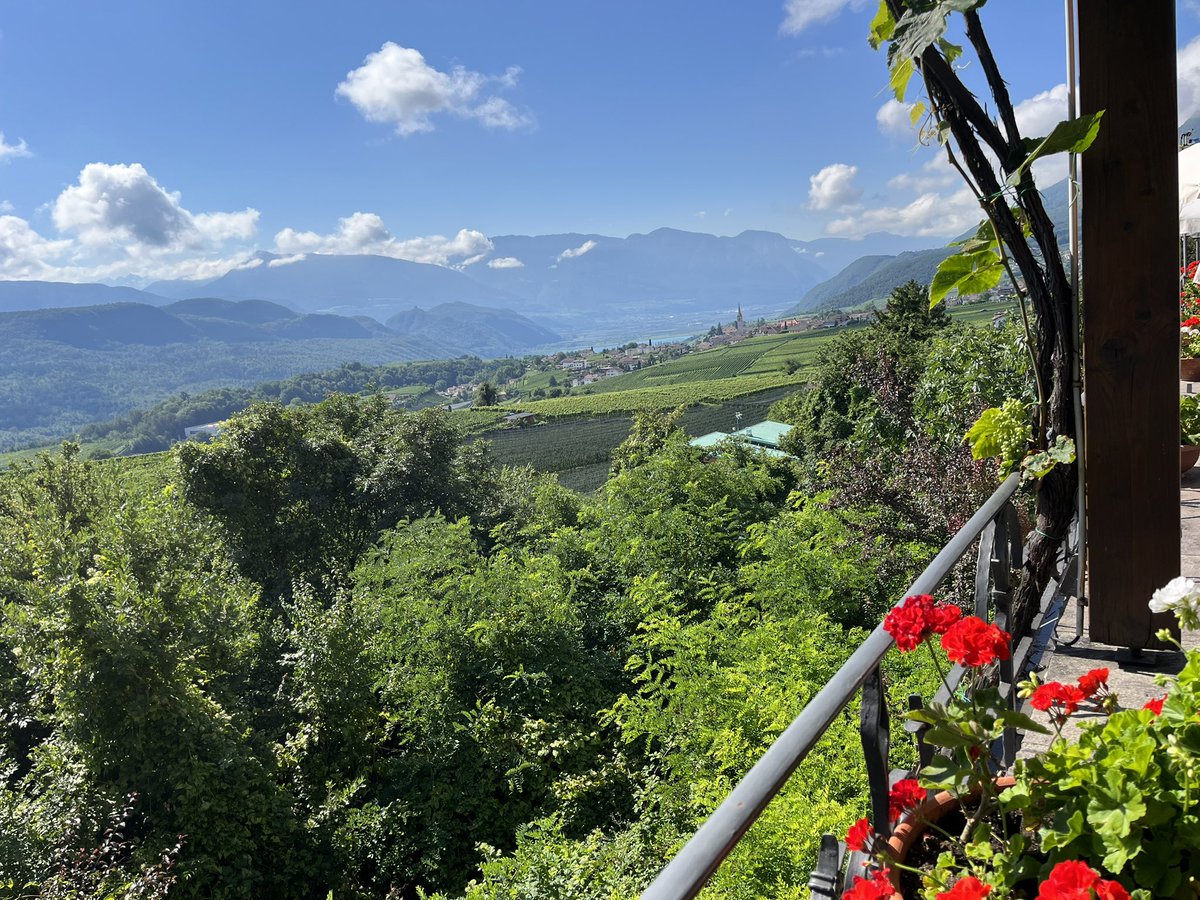 Ingeborg Vedder tweet media