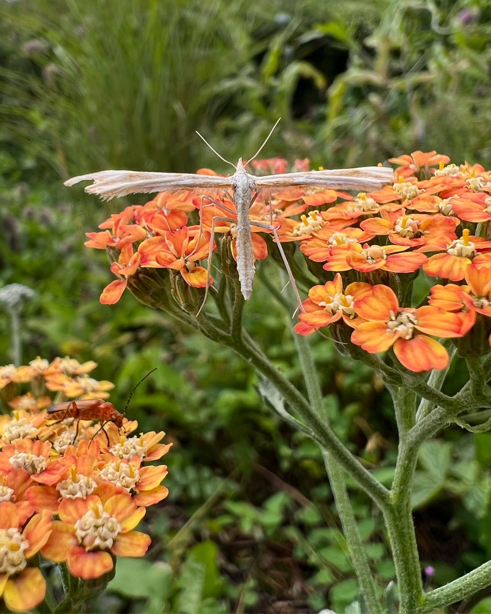 Jack Wallington tweet media