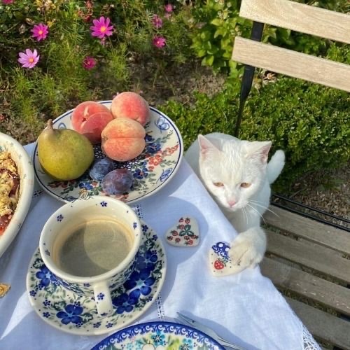 🌿🌼🧺 tweet media