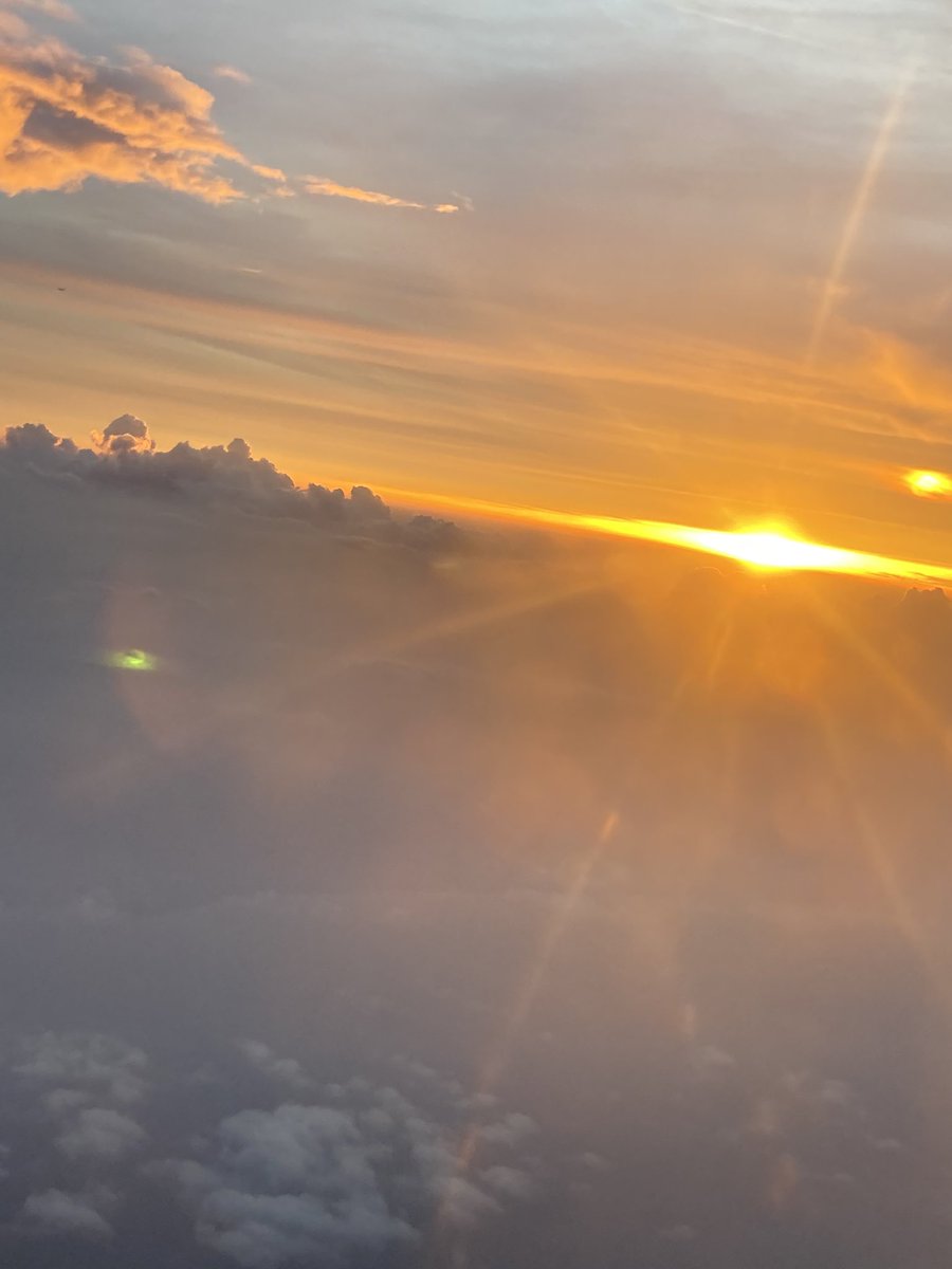 DT Dept Melksham Oak tweet media