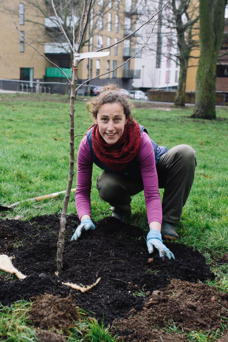 Are you based in Leicestershire, Rutland, Northamptonshire, Essex or Suffolk & keen to plant an orchard? Thanks to @d_cfoundation, we will support four groups in these areas to plant orchards via a remote training programme. Apply here: bit.ly/43k5toT