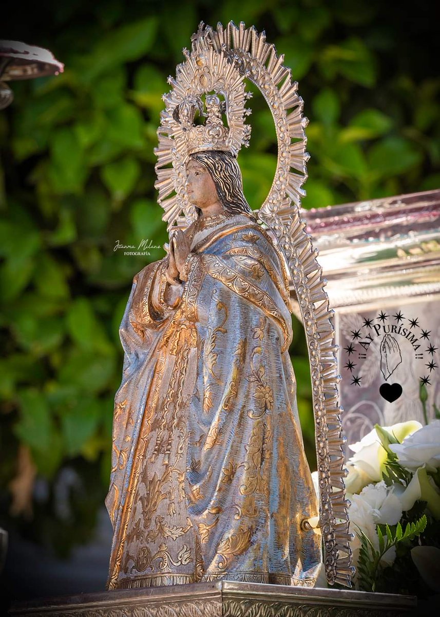 Él les dijo: «Ya veis, un escriba que entiende del reino de los cielos es como un padre de familia que va sacando del arca lo nuevo y lo antiguo.»

Palabra del Señor

Sigue el 💙

#Evangelio #SiempreContigo #EnlaErmitaEspera #CorazonesCelestes  
#PurisimaCoronada   #AyPurisima