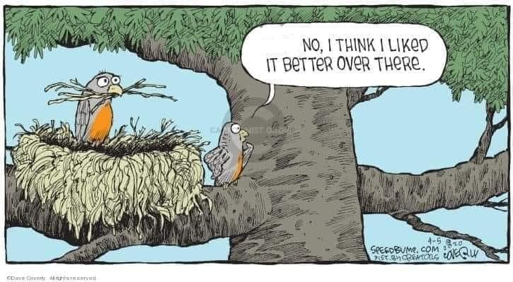 IrenaBuzarewicz's tweet photo. Dave Coverly https://t.co/pu5LCBeVAb