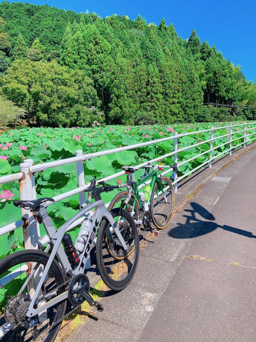 Osha_mucho's tweet photo. #今日のライド は竜樹と一緒に赤べこライド〜🚴💨
それにしても(𖦹 ·̫ 𖦹)アツスギダッテバヨ💦
#RedBeco
#灼熱の赤べこ https://t.co/a63xLH3Q5y