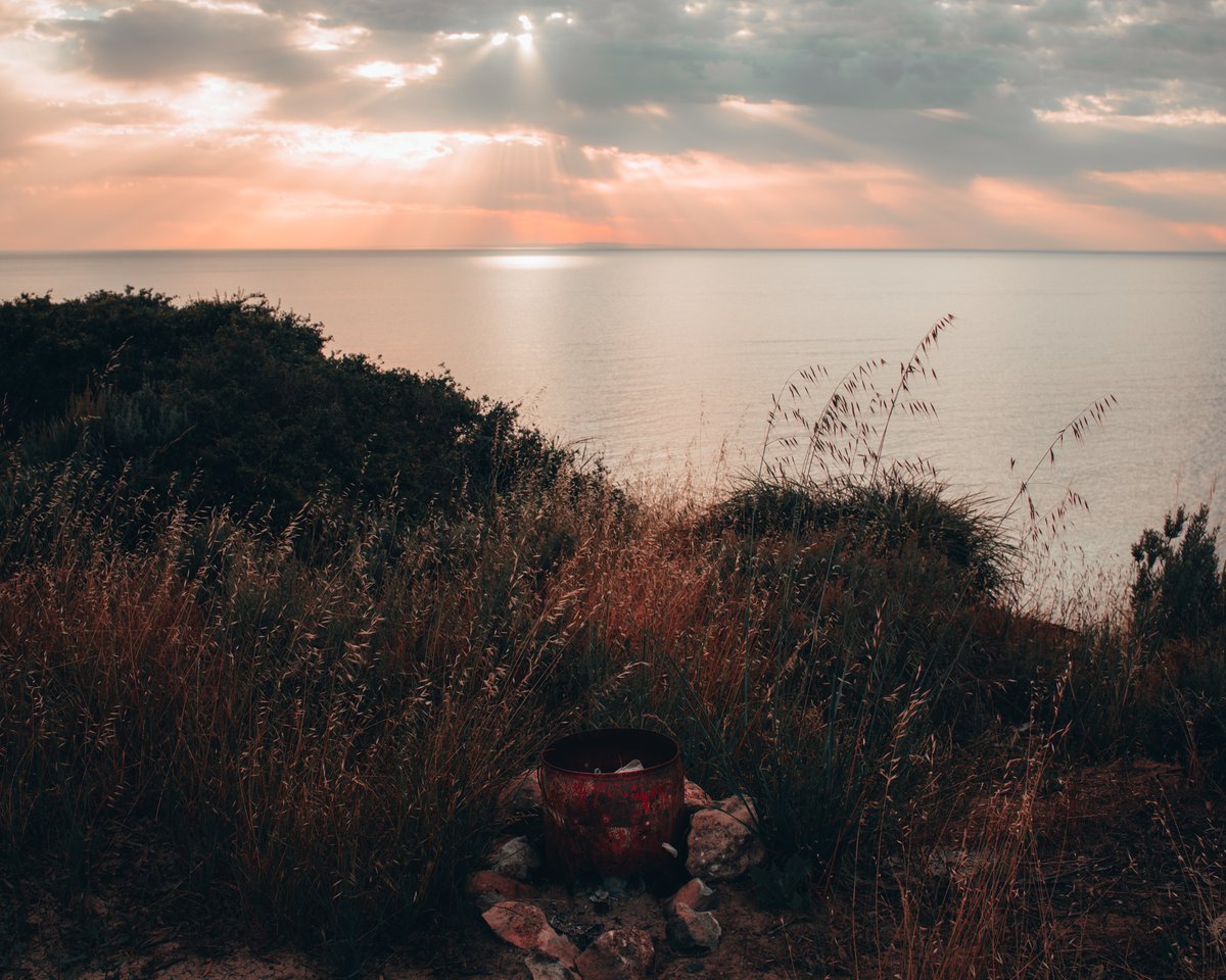 GoldMedallist.eth🥇 tweet media