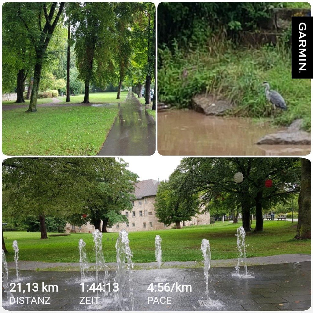 AndiRunning's tweet photo. Am 'RRS' ☔️Rainy 🏃🏻Running 🌞Sunday stand der #byebye07 im Zeichen der Herbst-Marathonvorbereitung. #Laufen https://t.co/Bb9nBUYRMw