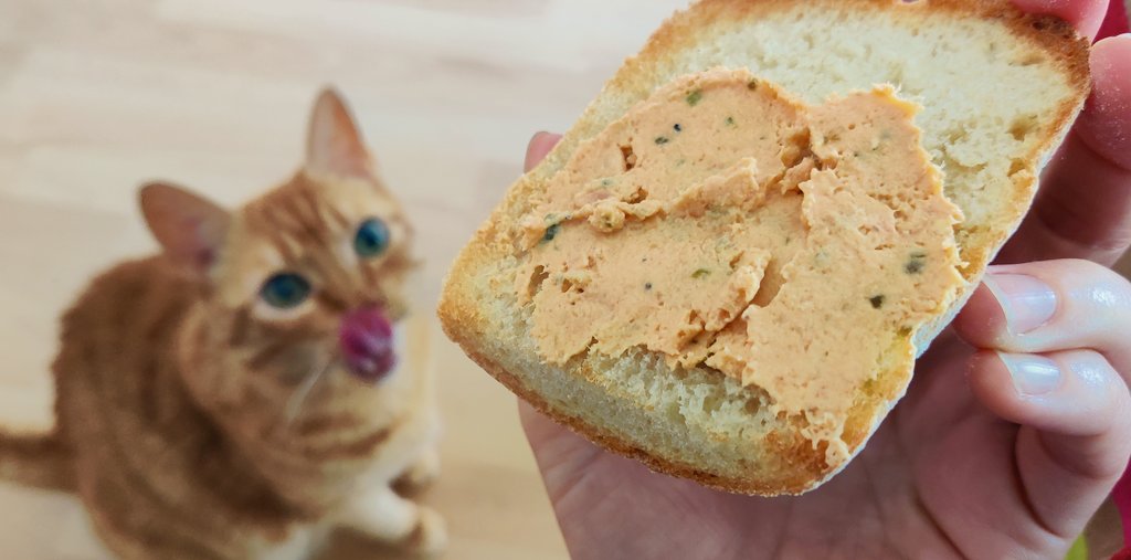 elretrogusto's tweet photo. 😻 Gato y humana peleándose por el desayuno.
🥫 Crema de salmón al estragón de #labelleiloise https://t.co/FPmvlkBun6