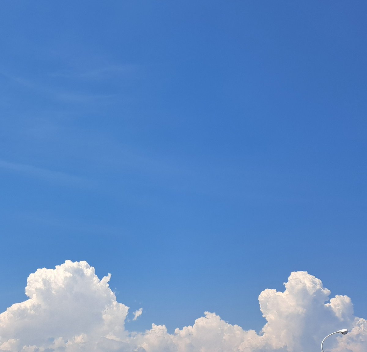 blue888sora's tweet photo. 夏空…

この空が好きなのは
きみがいたから

🌱🌱🌱🌱🌱🌱🌱🌱
生存確認が届いていたのでw
生きてます🤣

めちゃくちゃ
忙しいけど
生きてます

気にかけてくれて
ありがとう

☘️☘️☘️☘️🍀☘️☘️
🍀☘️☘️☘️☘️☘️☘️
四つ葉のクローバー
見つけてくださいね https://t.co/CCrjARuAdk