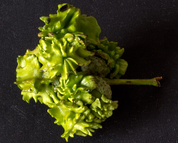 Mick Crawley tweet media