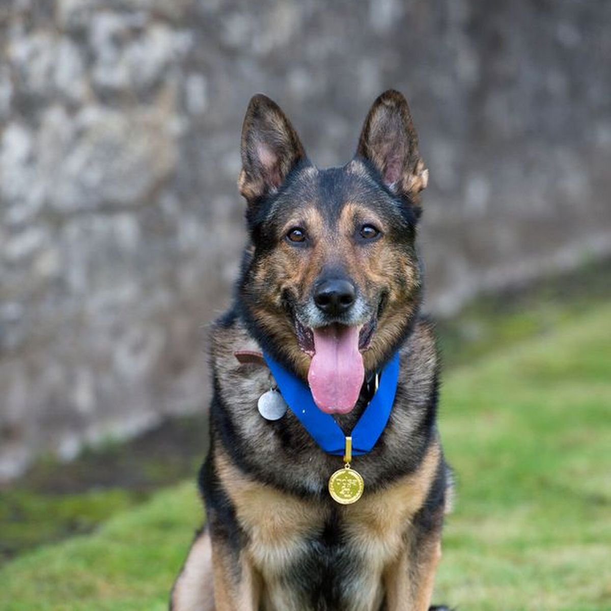 Nature Is Beautiful 🐾 🦋🌏🌸 tweet media