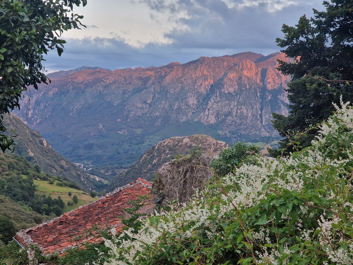 Emer O'Connell tweet media