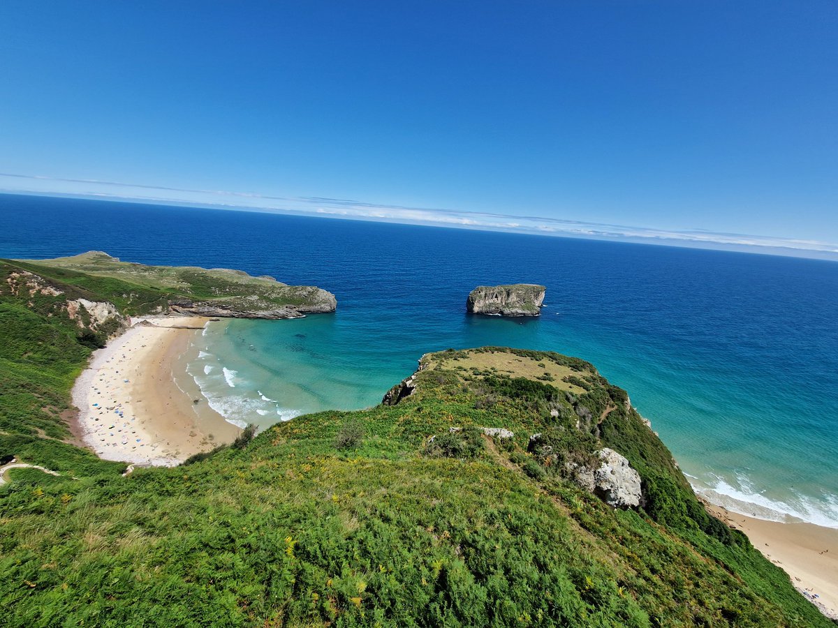 Emer O'Connell tweet media