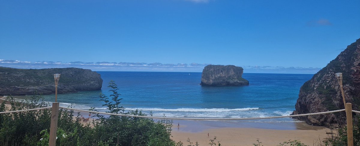 Emer O'Connell tweet media