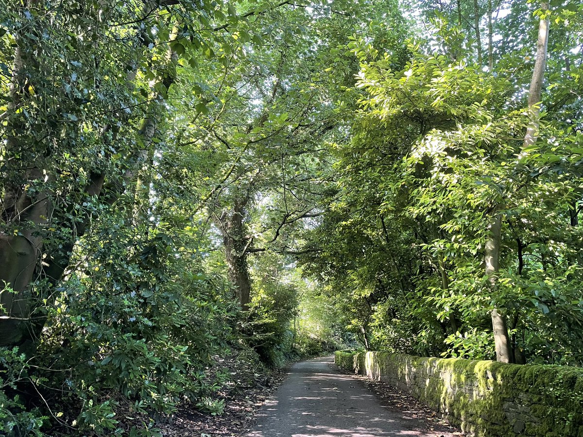 I’ve absolutely no idea how this has happened, whether it’s anything official or might just disappear tomorrow, but how absolutely bloody wonderful to see my girl’s name pop up on Google maps.
It’s just a tiny, pretty road, but one we often walked up so it’s perfect. #BeMoreLaura