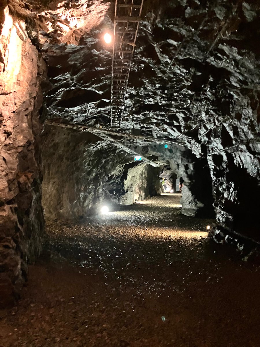 Henna Kosonen tweet media