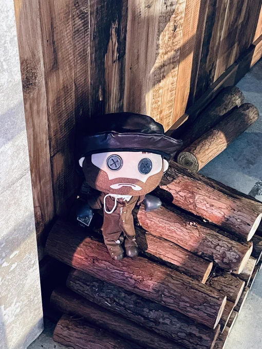 ファンタジーランドの野良セルヴェ