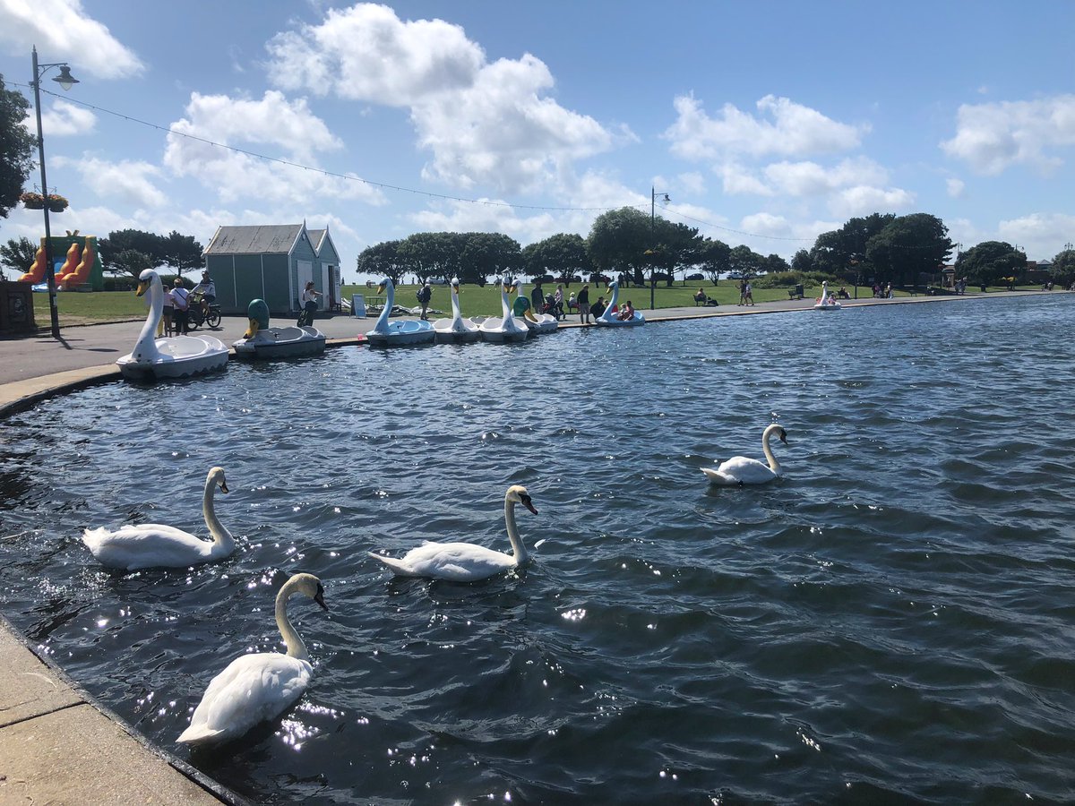 JessMcCallumm's tweet photo. Some shots from yesterday… https://t.co/RQgMIBmwaR