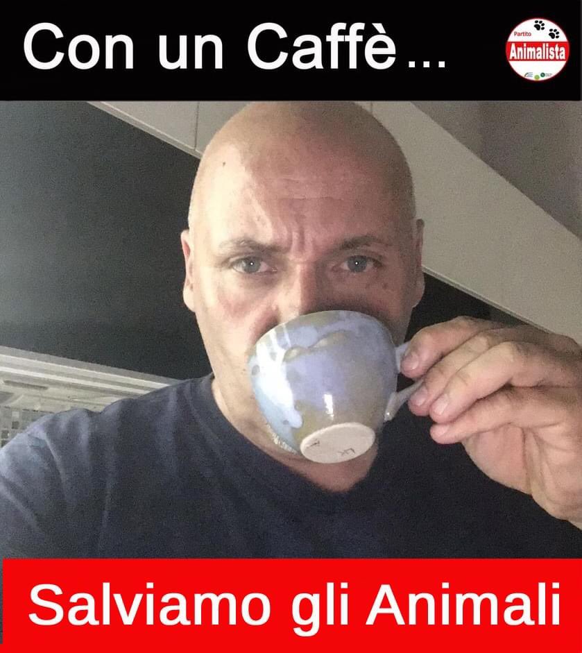 P_Animalista's tweet photo. Buongiorno, inizia la Giornata Firmando il #Referendum per Abolire gli #AllevamentiIntensivi per Sempre!!
Firma On-Line, Costa solo un #caffè per rimborsare il server, ma gli animali te ne saranno grati.
Tocca a noi salvarli!
👉 Firma anche Tu al Link:
https://t.co/j8eusz0ngN https://t.co/XNmFd2CO26