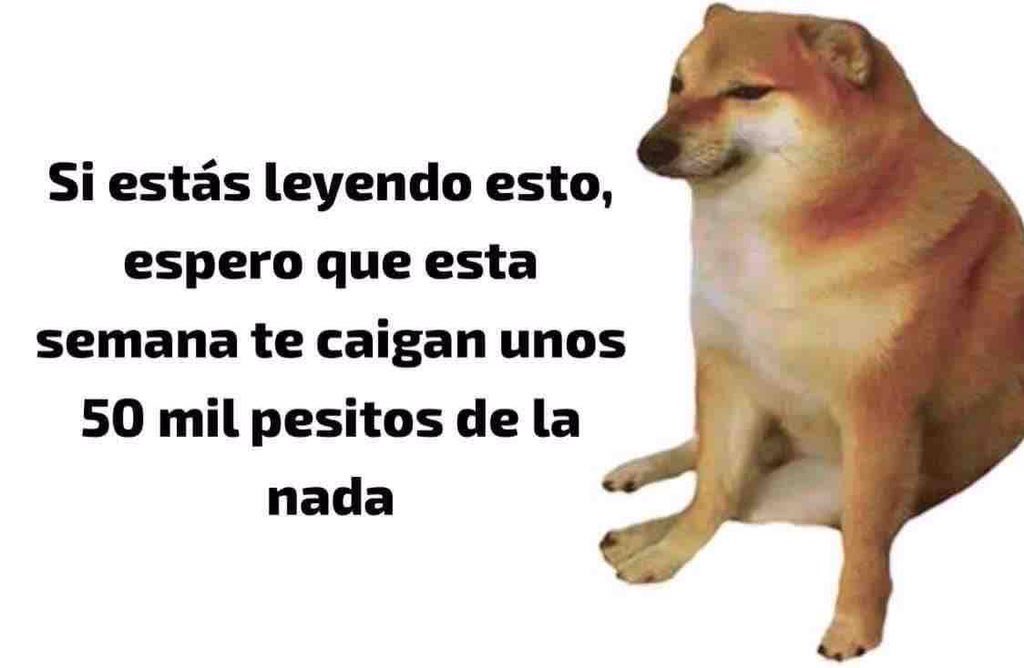 SoyCristianRey's tweet photo. https://t.co/fGYFLAgsRl