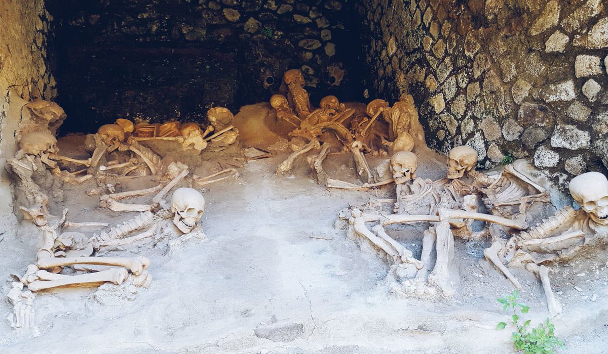 AliciaMimundo's tweet photo. #Curiosidades 

Hace casi 2000 años, una erupción volcánica sepultó la ciudad costera romana de Herculano en la misma oleada de cenizas calientes y gas que diezmó Pompeya. En el año 79 en un intento desesperado por escapar del impacto de la erupción del Vesubio, la gente de Herculano se protegió en cobertizos para botes cerca de la costa, pero la explosión originó ceniza y gas a 250°C que los mató instantáneamente “licuando” su cuerpo mientras conservaba sus huesos casi a la perfección.

La catástrofe no solo preservó edificios y huesos, sino que guardó pistas sobre la dieta romana. Análisis llevados a cabo de los huesos de 17 víctimas y los restos de plantas y animales encontrados en el sitio, se sabe que la gente de Herculano comían: trigo, mijo, lentejas, cerezas, melocotones y aceitunas, además de 70 tipos de pescados y mariscos de la bahía de Nápoles. Además de aceite de oliva (los romanos consumían por término medio 20 litros de aceite cada año). 

Aunque la dieta de Herculano puede no ser representativa de la antigua Roma, según los arqueólogos, es posible que la gente de la ciudad, situada en la rica Bahía de Nápoles rodeada de suelo volcánico fértil y cerca de un puerto importante que importa productos del otro lado del Mediterráneo, tuviera una dieta más rica y especialmente diversa. 

Datos e información:

https://t.co/sgCsMZIjh7