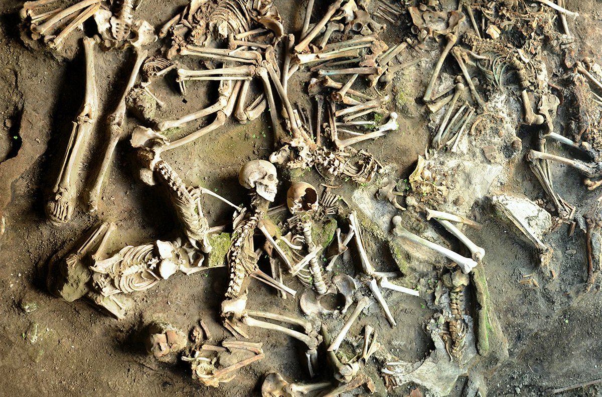 AliciaMimundo's tweet photo. #Curiosidades 

Hace casi 2000 años, una erupción volcánica sepultó la ciudad costera romana de Herculano en la misma oleada de cenizas calientes y gas que diezmó Pompeya. En el año 79 en un intento desesperado por escapar del impacto de la erupción del Vesubio, la gente de Herculano se protegió en cobertizos para botes cerca de la costa, pero la explosión originó ceniza y gas a 250°C que los mató instantáneamente “licuando” su cuerpo mientras conservaba sus huesos casi a la perfección.

La catástrofe no solo preservó edificios y huesos, sino que guardó pistas sobre la dieta romana. Análisis llevados a cabo de los huesos de 17 víctimas y los restos de plantas y animales encontrados en el sitio, se sabe que la gente de Herculano comían: trigo, mijo, lentejas, cerezas, melocotones y aceitunas, además de 70 tipos de pescados y mariscos de la bahía de Nápoles. Además de aceite de oliva (los romanos consumían por término medio 20 litros de aceite cada año). 

Aunque la dieta de Herculano puede no ser representativa de la antigua Roma, según los arqueólogos, es posible que la gente de la ciudad, situada en la rica Bahía de Nápoles rodeada de suelo volcánico fértil y cerca de un puerto importante que importa productos del otro lado del Mediterráneo, tuviera una dieta más rica y especialmente diversa. 

Datos e información:

https://t.co/sgCsMZIjh7