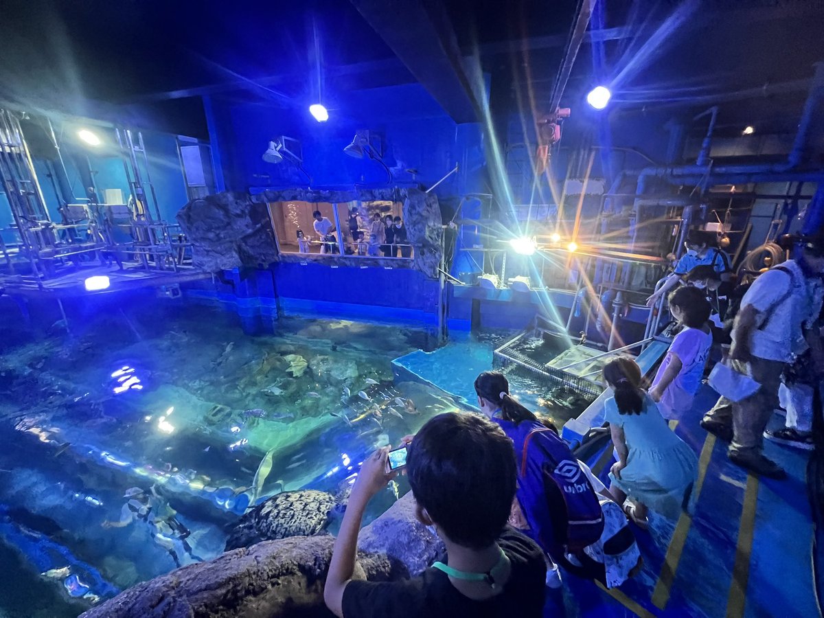 beruazuki's tweet photo. 今日は品川水族館に行ってきました。裏側潜入ツアーに参加しました。楽しかったです！ https://t.co/B04f3CINxc