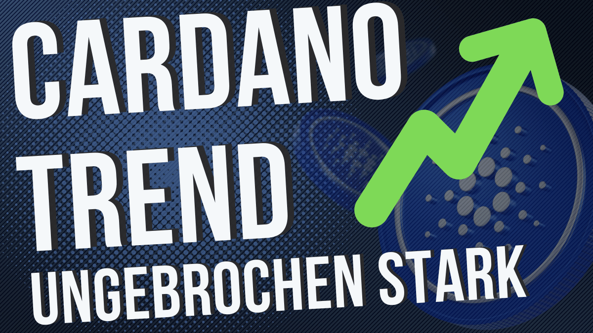 CardanoKanal's tweet photo. Neues #Cardano Update mit vielen tollen neuen Projekten &amp; TVL Anstieg auf bereits 600M ! 🚨

https://t.co/dYBHwB2XDT

#CardanoCommunity $ADA #cardanoDE https://t.co/CPzA1w3Il4