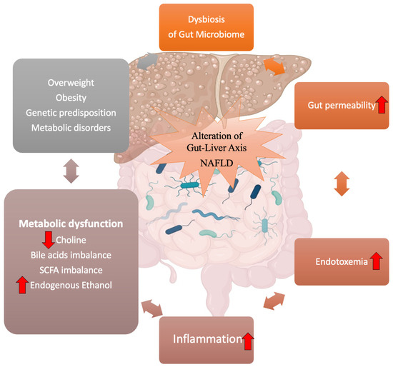 Biology_MDPI's tweet photo. #Highlight_Paper Series_Sharing
Gut–Liver Axis and Non-Alcoholic Fatty Liver Disease: A Vicious Circle of Dysfunctions Orchestrated by the Gut Microbiome https://t.co/Rub7hRdky8 via @Biology_MDPI @unict_it
#gut_microbiome #obesity #NFLD #dysbiosis #gut–liver axis https://t.co/JeBnxJcwhq