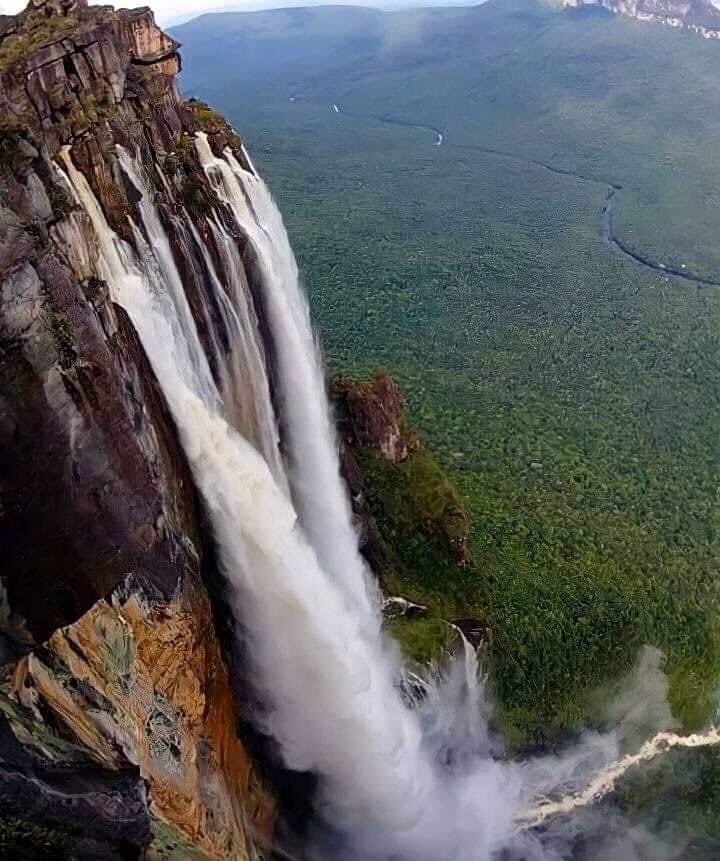 GianlucaCoccon1's tweet photo. Majestuosa 
LA MÁS ALTA DEL MUNDO Parque Nacional CANAIMA….Edo Bolívar 🇻🇪🇻🇪🇻🇪🇻🇪🇻🇪🇻🇪🇻🇪🇻🇪🇻🇪🇻🇪🇻🇪🇻🇪🇻🇪
Créditos: Aventura 360 https://t.co/a7LfBad5Nd
