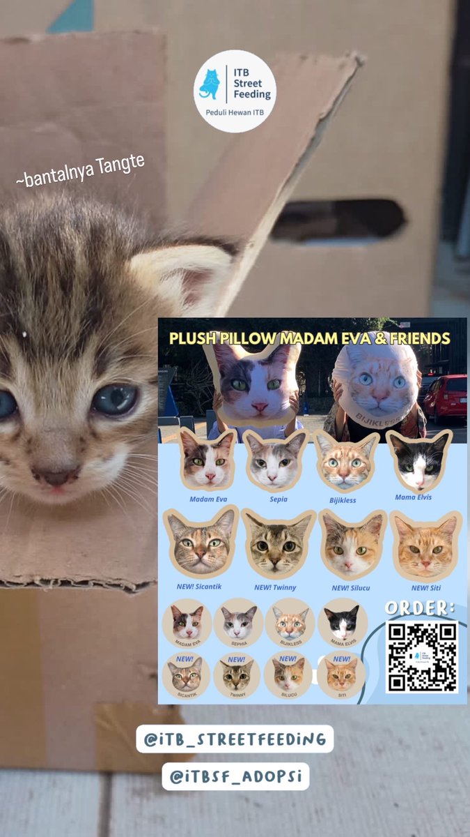 ITBSF's tweet photo. Desain baru bantal Madam Eva &amp; Friends 😻

Bisa PO mulai 10-25 Agustus 2023 https://t.co/WOU56VCRYC