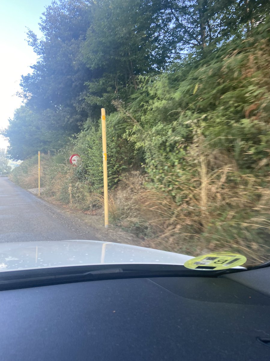 villablino17's tweet photo. Hola @GobAsturias para cuando pensáis desbrozar la AS-213 ? Está la maleza cubriendo todas las señales y la visibilidad es muy mala, teniendo en cuenta que es una carretera de montaña y hay muchas curvas..es un peligro para todos. @DGTes @AdrianBarbon https://t.co/d7QLmrH1BY