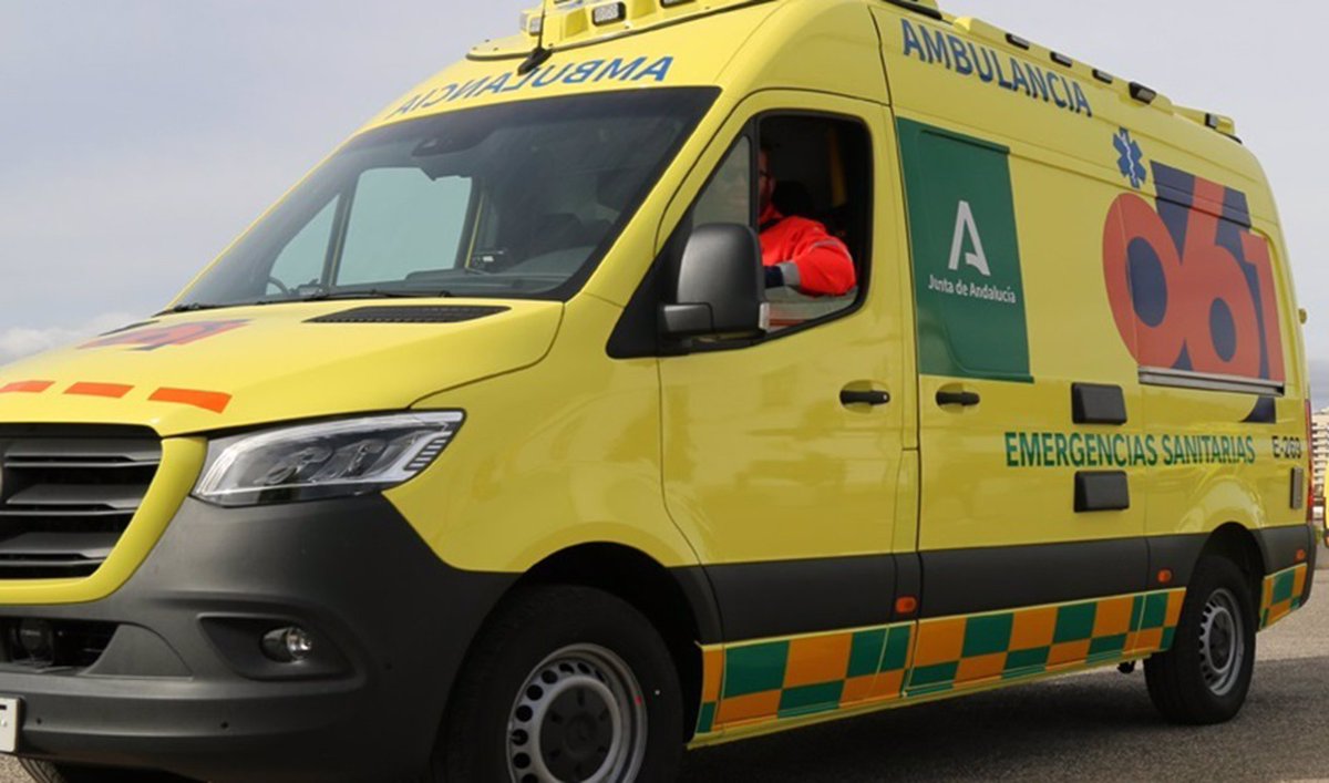 Heridas seis personas, dos menores, al colisionar un vehículo contra una pared en una calle de Guadix

andaluciactual.com/heridas-seis-p…