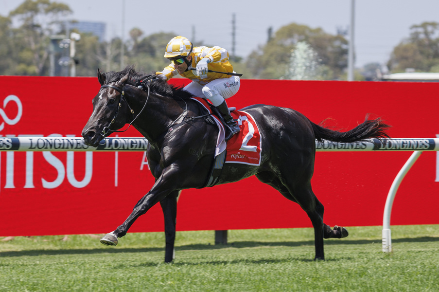 2yotipping's tweet photo. @Racing This big guy #redresistance https://t.co/Vu44dTZjwf