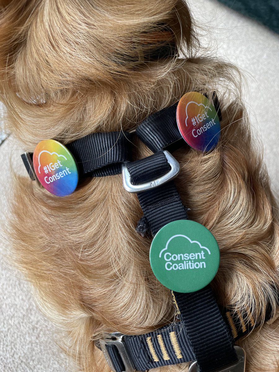 meloumik's tweet photo. ๐Blues first #nottspride and he loved supporting @ConsentInNotts and @NottsSVSS ๐พ It was wonderful that so many people asked if they could give him a stroke first, sharing the #GetConsent message everywhere ๐ https://t.co/EGlYAdVWPK