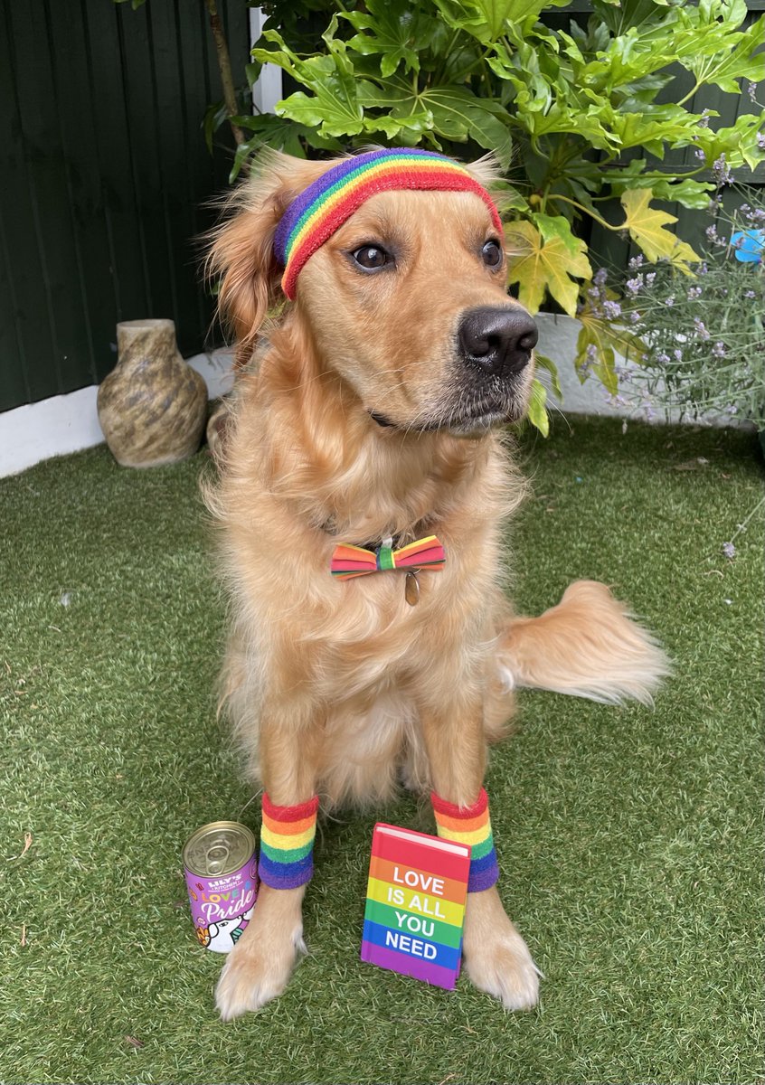 meloumik's tweet photo. ๐Blues first #nottspride and he loved supporting @ConsentInNotts and @NottsSVSS ๐พ It was wonderful that so many people asked if they could give him a stroke first, sharing the #GetConsent message everywhere ๐ https://t.co/EGlYAdVWPK