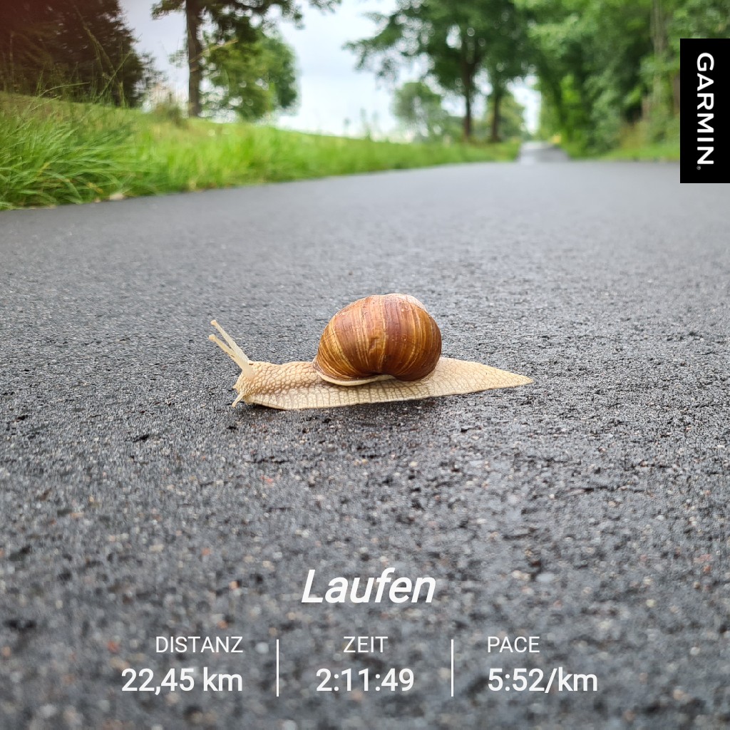 TS1903's tweet photo. Hab sie glatt noch überholt 😂, noch ein Schneckenleben gerettet. #gutetatfürheute #nevernotrunning #byebye07 https://t.co/5aMZbcgnOk