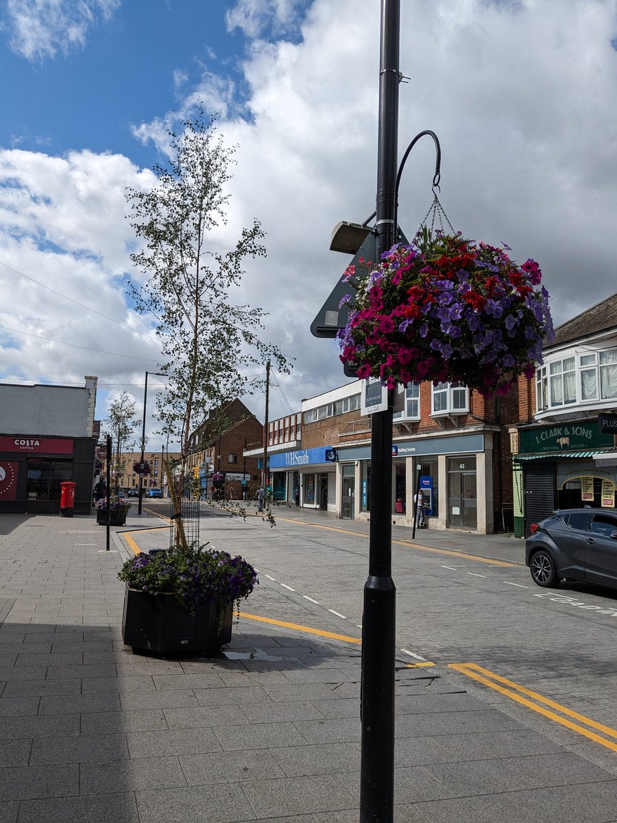Wickford In Bloom tweet media