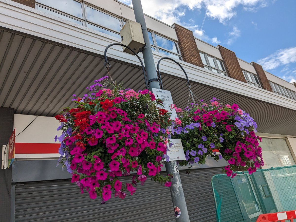 Wickford In Bloom tweet media