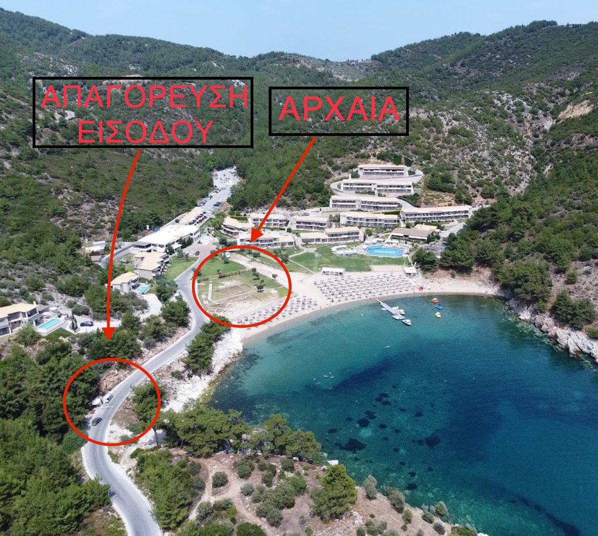 Seretis Grigorios tweet media