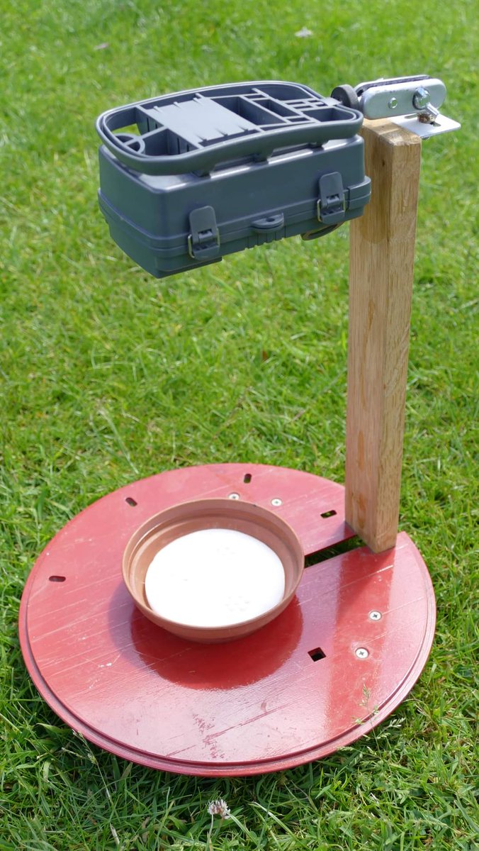 Colin Lodge from Torbay BKA has kindly shared how he has set up a wildlife camera to record visits to a bait station (seen here with a European hornet visiting). Cameras would need to be sensitive enough to detect insects.