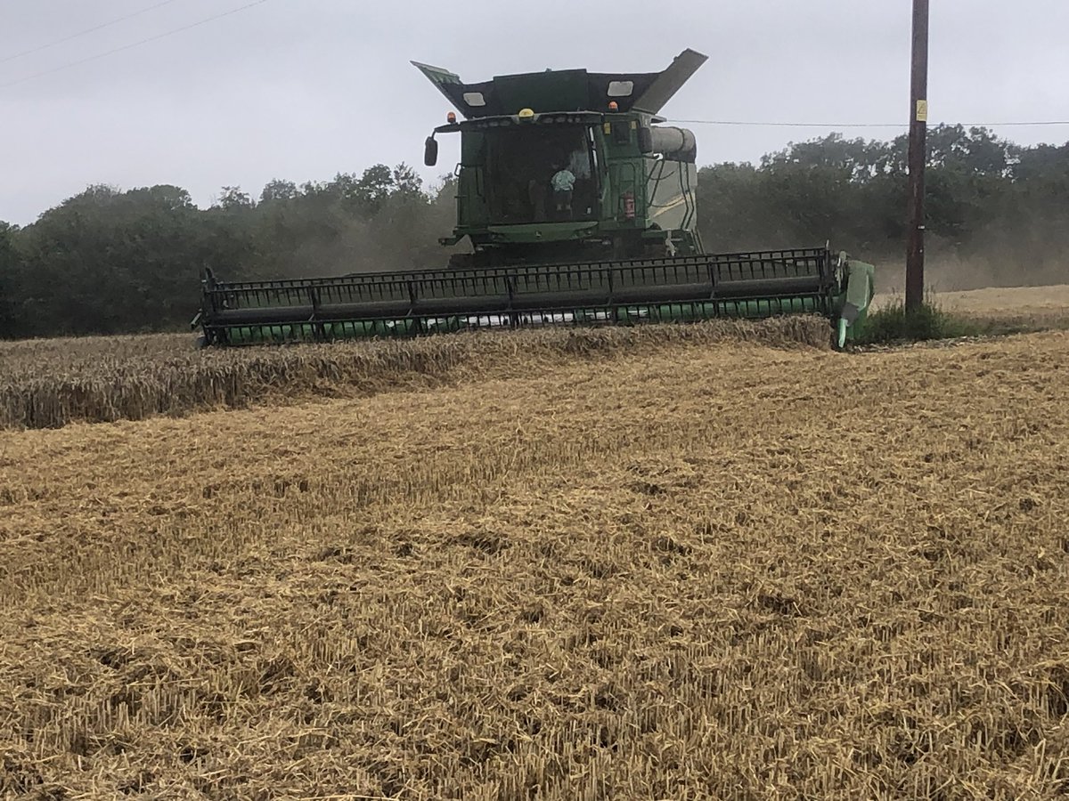 Matthew Atkinson tweet media